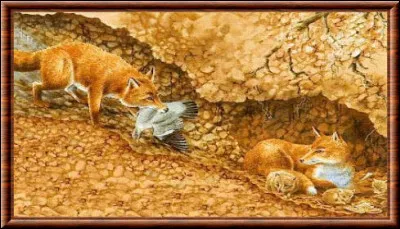 Ton habitat, c'est...