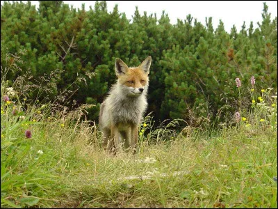 Tu rêves de partir en vacances...