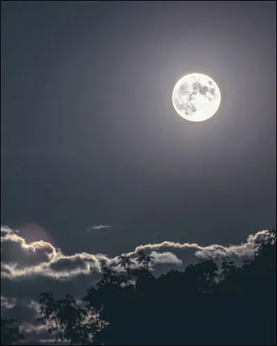 Quel groupe chante et souhaite des choses en marchant sur la Lune ?