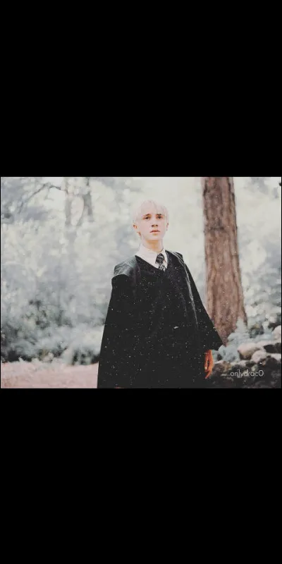 Quel est le sang de Drago Malefoy ?