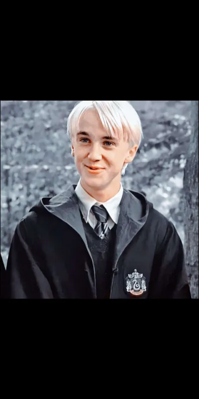 Que veut dire Drago Malefoy ?