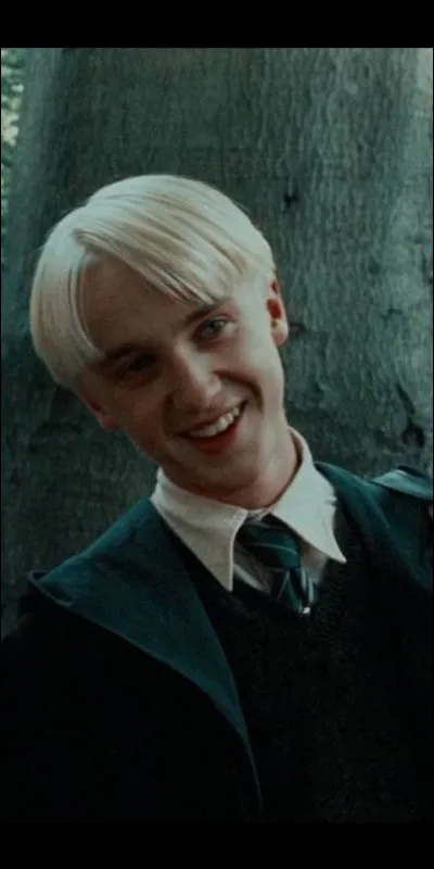 De quel bois est sa baguette ?