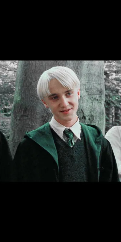 De quoi est constitué le cœur de sa baguette ?