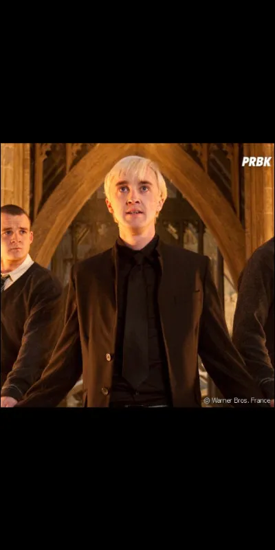 Qui est Bellatrix Lestrange pour Drago ?