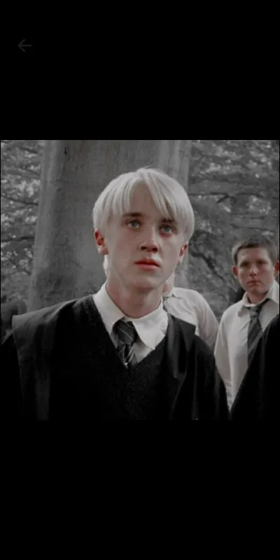 Quels sont ses amis à Poudlard ?