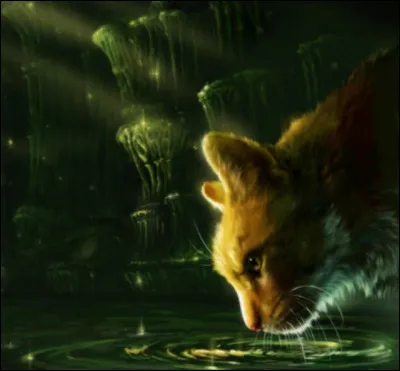 De qui est-elle tombée amoureuse ?