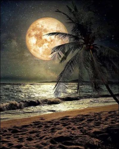 Qui n'avait pas peur de "Viser la Lune" ?