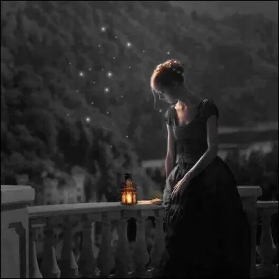 Il chantait "Et les &eacute;toiles entre elles ne parlent que de toi" :