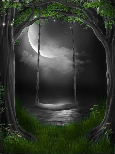 Qui chante "J'irai sur la Lune, un jour j'irai, et si j'te disais qu'j'en &eacute;tais s&ucirc;r, j'te mentirais" ?