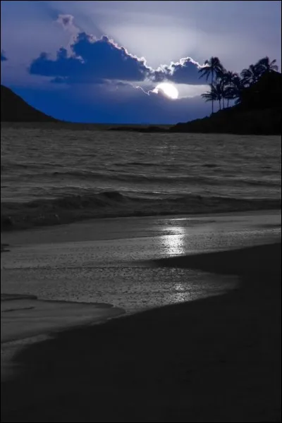 Qui s'&eacute;clatait en chantant "Et j'irai prendre un bain de minuit &agrave; poil sous la lune" ?