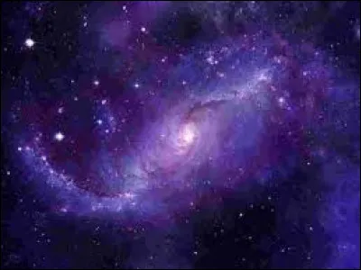 A-t-on déjà envoyé un cochon d'Inde dans l'espace ?