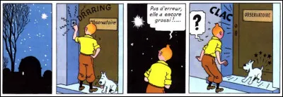 En regardant ces 4 cases, serez-vous aussi observateur que l'ami Tintin auquel rien n'échappe jamais ?