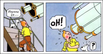 Tintin a l'air très étonné et on le serait à moins. Que voit-il exactement ?