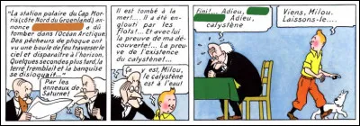 La collision n'ayant pas eu lieu, on apprend par le journal qu'un morceau de ce "corps céleste" serait tombé sur la Terre. Quel mot désuet emploie l'auteur en nommant celui-ci ?