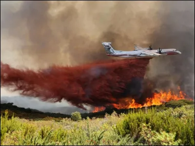 Les feux de for&ecirc;ts peuvent &ecirc;tre provoqu&eacute;s par l'homme, mais aussi par la foudre par exemple. Quel avion lutte contre cet incendie sur la photo ?