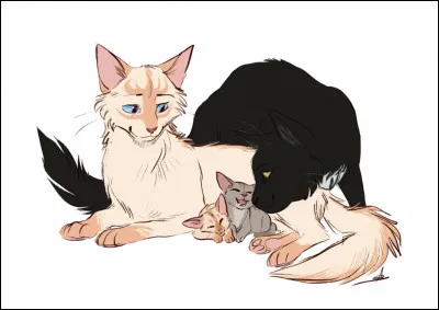 Ma compagne attend des chatons.