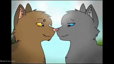 Mon compagnon ou ma compagne n'est pas du même clan que moi.