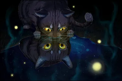 Je suis guérisseur ou guérisseuse.