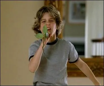 Cette image est tirée de...