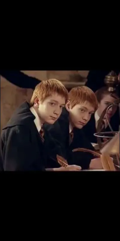 Quel est leurs Patronus ? (ils ont le m&ecirc;me)