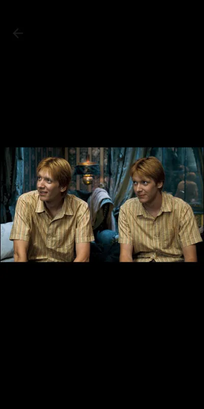 Comment s'appelle la chouette de la famille Weasley ?