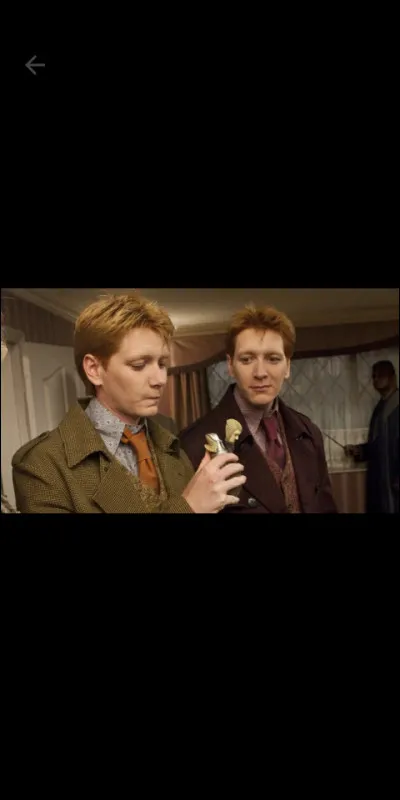 Quel r&ocirc;le jouent Fred et George au Quidditch ?