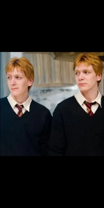 Combien Fred et George ont-ils de fr&egrave;res et sœurs ?