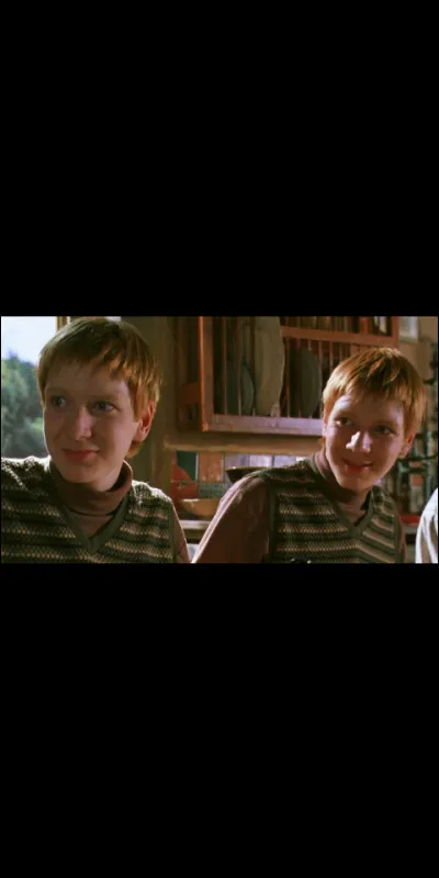 Fred et George ont un meilleur ami, qui est-ce ?