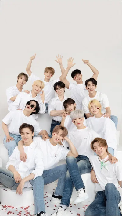 Qui est le maknae du groupe Seventeen ?