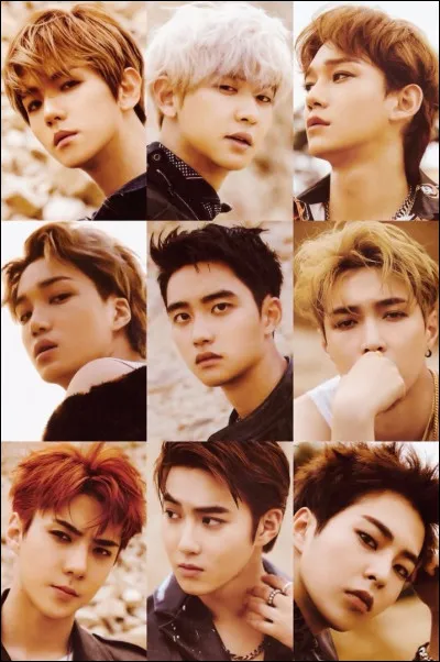 Parmi ces membres dEXO, lequel est chinois ?