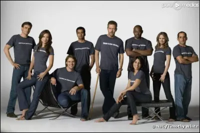 Quelle est l'équipe du Dr. House dans la saison 8 ?