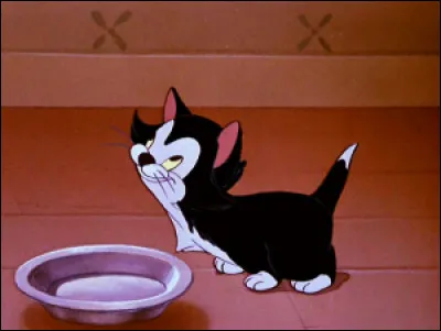 Voici Figaro, dans le film « Pinocchio ». Savez-vous le nom de son maître ?