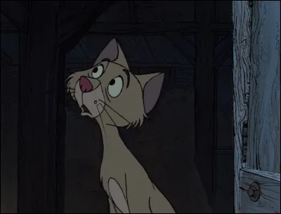 Dans quel film trouve-t-on ce chat, sergent Tibs ?