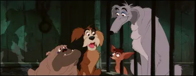 Dans quel film voit-on Peg, Boris, Toughy, Pedro et Bull ?