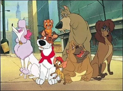 Dans quel film voit-on Einstein, Roublard, Rita, Francis et Tito ?