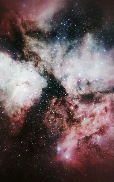 A quelle grande scientifique le film Les Figures de lombre sintéresse-t-il ?