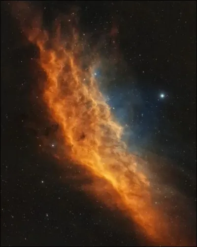 A quelles créatures les humains arrivent-ils à survivre dans Battlestar Galactica ?