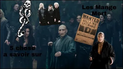 Quelle qualité faut-il pour aller à Serpentard ?