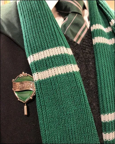 Quels sont les préfets de Serpentard ?