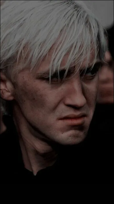 Quelle est la qualité de la salle commune des Serpentards ?