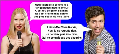 Qui chante une chanson d' Adamo ?