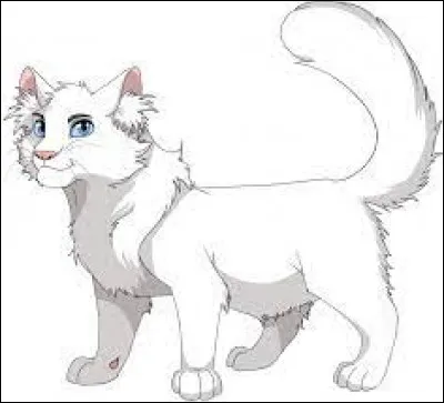 Témoin n°2 : 
Flocon de Neige
- La proie chassée par le coupable est une grive. Pour lattraper le chat a dû monter dans un arbre pour sauter sur loiseau car la grive ne se pose jamais au sol.
Quelle est la proie chassée par le coupable ?