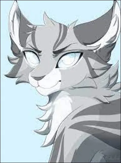 Témoin n°3 : 
il de Geai
Jai vérifié la santé des chats errants sur ordre dÉtoile de Feu, sinon je les aurais bien laisser moisir dans leur coin, ils vont tous bien mais le vieux a les muscles trop raides. Il ne peut pas faire de grands mouvements. 
Quel est le caractère qui fait quon lapprécie ?