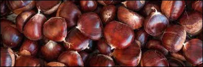 Quelle est cette couleur ?