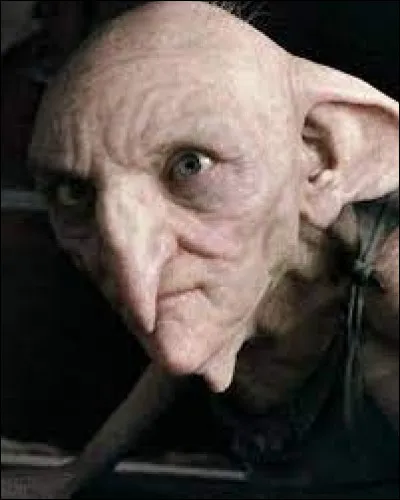 Comment s'appelle cet elfe de maison ?