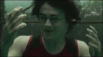 Dans "Harry Potter et la Coupe de feu", qui donne la Branchiflore à Harry ?