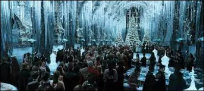 Toujours dans "Harry Potter et la Coupe de feu", quelle est la couleur de la robe de bal de Hermione ?