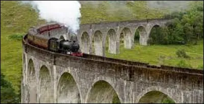 Dans "Harry Potter et le Prince de sang-mêlé", dans le Poudlard Express, Drago pétrifie Harry avant de lui jeter sa cape d'invisibilité dessus pour que personne ne le voit. Qui trouve Harry ?