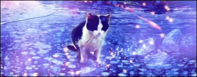 À quoi correspond la « Toison Argentée » ?