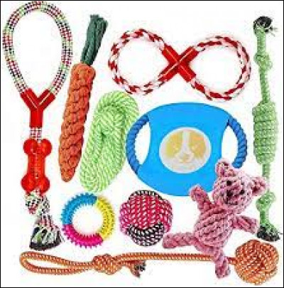 Tu préfères un animal dont il faut s'occuper :